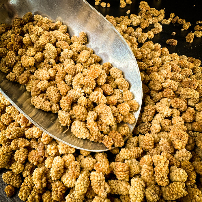 Žāvētas zīdkoka ogas