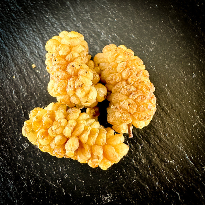 Žāvētas zīdkoka ogas